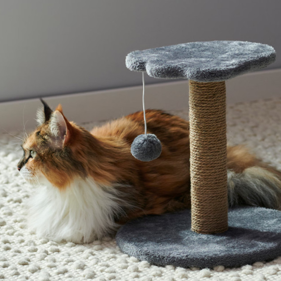 GREBALICA ZA MAČKE 15X20X22CM