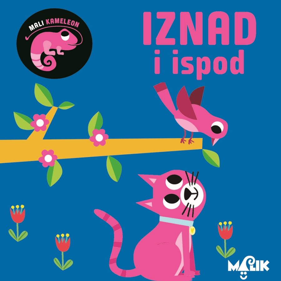 SLIKOVNICA MALI KAMELEON