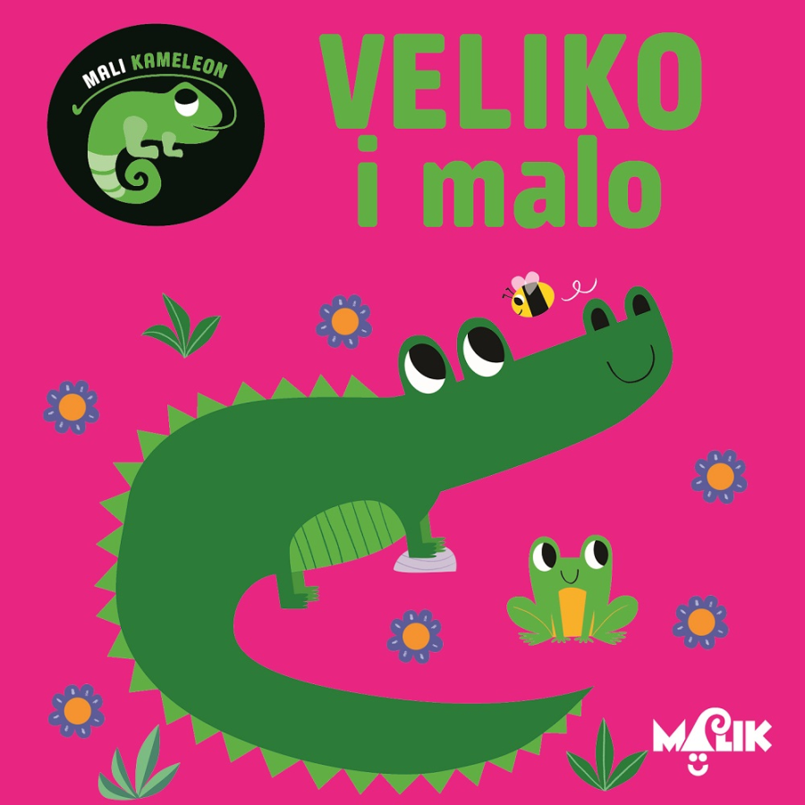 SLIKOVNICA MALI KAMELEON