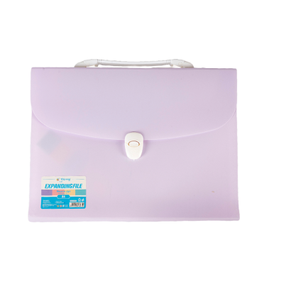 YALONG KOFER ZA DOKUMENTE PASTEL