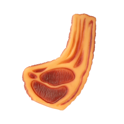 IGRAČKA ZA KUĆNE LJUBIMCE ODREZAK 15CM